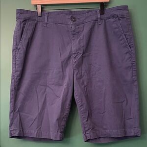 AG Adriano Goldschmied Navy Flat Front Shorts